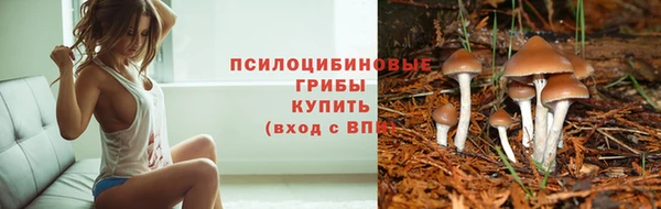 spice Абдулино