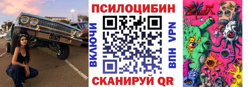 Галлюциногенные грибы Cubensis Ковров