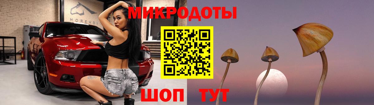 Псилоцибиновые грибы мицелий Ковров